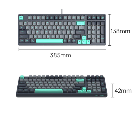 FS300 dimensions